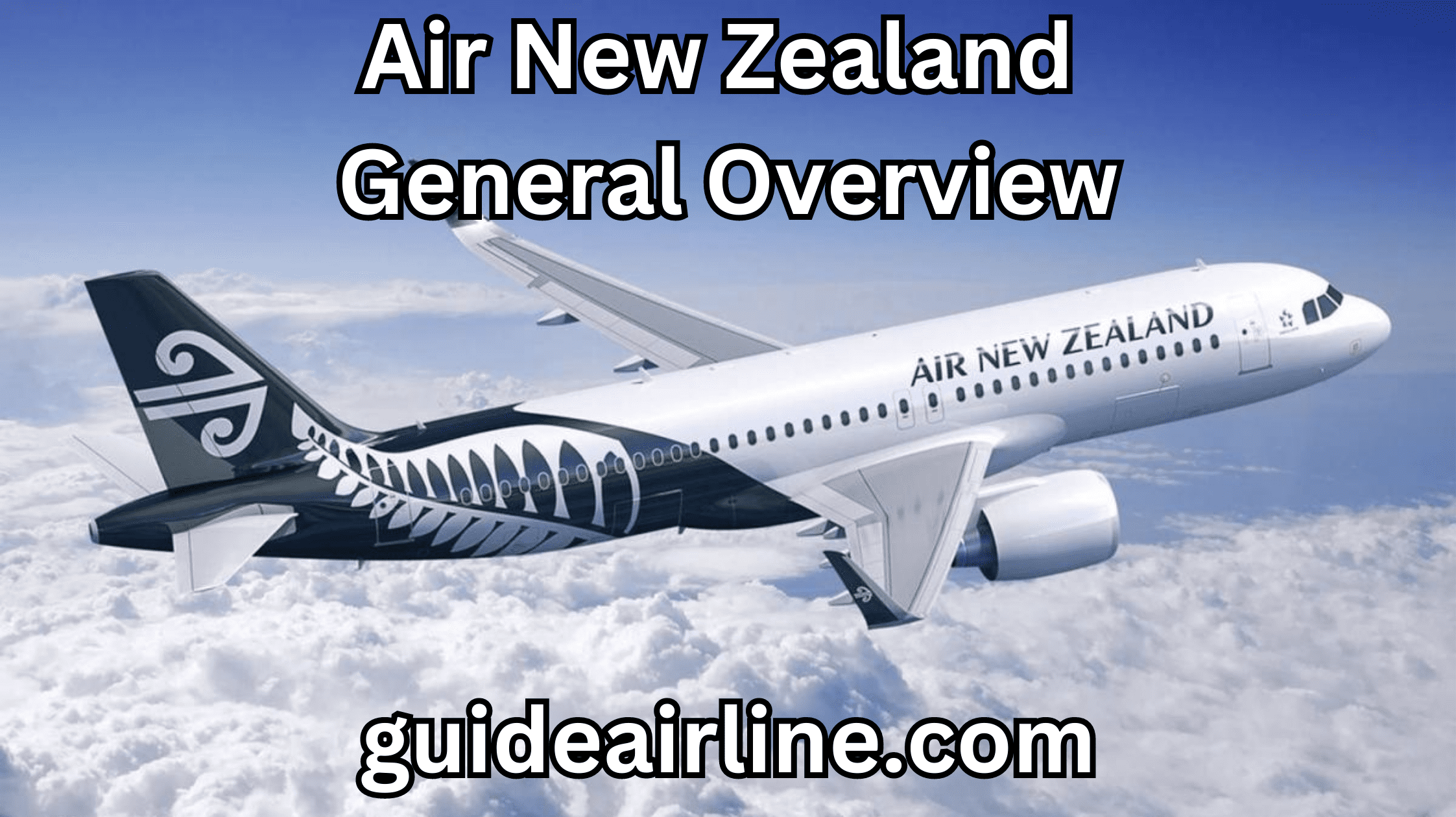 Air New Zealand General Overview